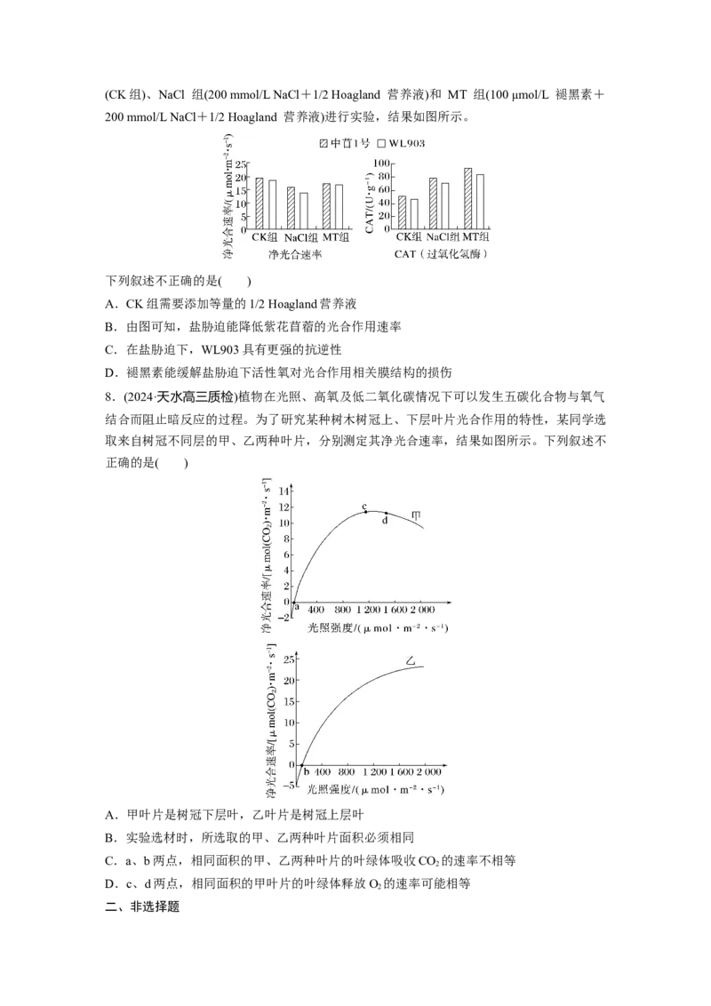 第三单元　课时练17光合作用的影响因素及其应用_2025年新高考资料_一轮复习_2025大一轮复习讲义+课件（完结）_2025大一轮复习讲义生物学生用书Word版文档整书_2025一轮复习73练