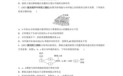 第八单元　课时练36　人体的内环境与稳态_2025年新高考资料_一轮复习_2025大一轮复习讲义+课件（完结）_2025大一轮复习讲义生物学生用书Word版文档整书_2025一轮复习73练