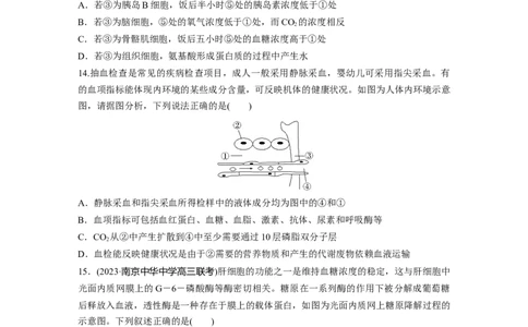 第八单元　课时练36　人体的内环境与稳态_2025年新高考资料_一轮复习_2025大一轮复习讲义+课件（完结）_2025大一轮复习讲义生物学生用书Word版文档整书_2025一轮复习73练