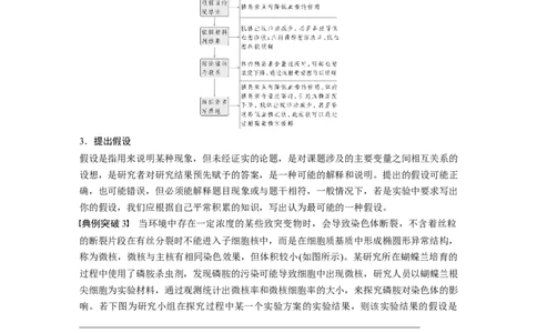 第三单元　专题突破1　实验技能解题策略_2025年新高考资料_一轮复习_2025大一轮复习讲义+课件（完结）_2025大一轮复习讲义生物学生用书Word版文档整书_2025大一轮复习讲义