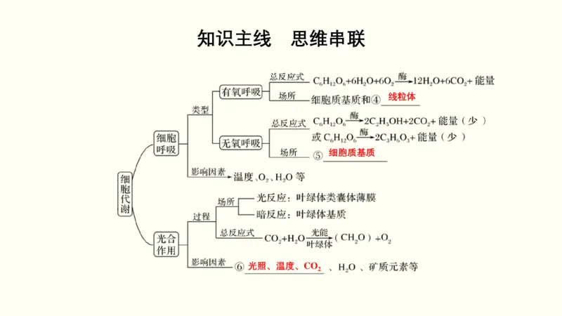 第三单元光合作用与细胞呼吸（教案）_新高考复习资料_2022年新高考复习资料_2022届一轮复习讲练结合7.13更新_系列一_第三单元光合作用与细胞呼吸