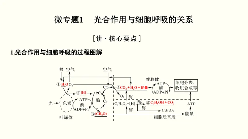第三单元光合作用与细胞呼吸（教案）_新高考复习资料_2022年新高考复习资料_2022届一轮复习讲练结合7.13更新_系列一_第三单元光合作用与细胞呼吸