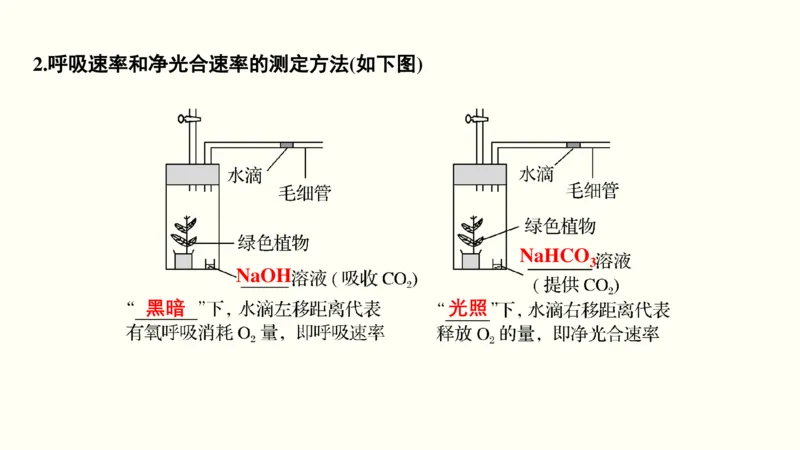 第三单元光合作用与细胞呼吸（教案）_新高考复习资料_2022年新高考复习资料_2022届一轮复习讲练结合7.13更新_系列一_第三单元光合作用与细胞呼吸