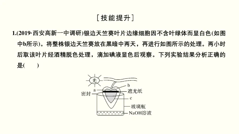 第三单元光合作用与细胞呼吸（教案）_新高考复习资料_2022年新高考复习资料_2022届一轮复习讲练结合7.13更新_系列一_第三单元光合作用与细胞呼吸