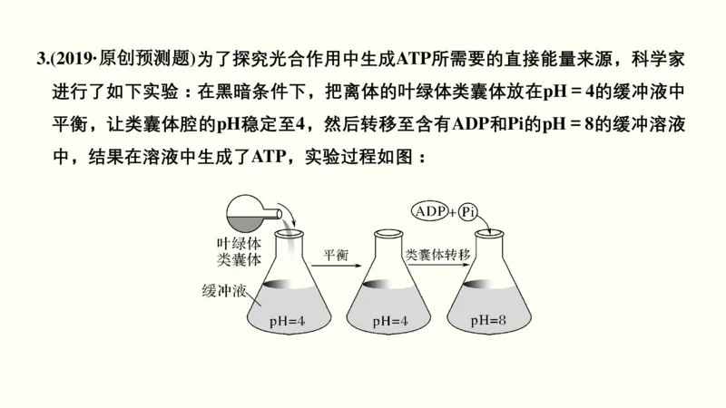 第三单元光合作用与细胞呼吸（教案）_新高考复习资料_2022年新高考复习资料_2022届一轮复习讲练结合7.13更新_系列一_第三单元光合作用与细胞呼吸