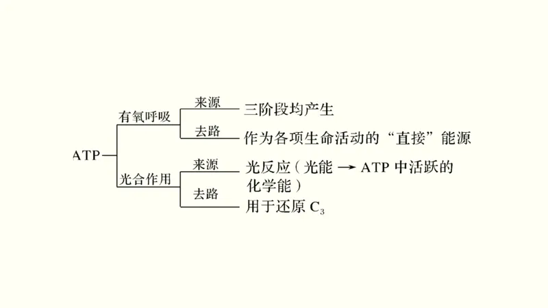 第三单元光合作用与细胞呼吸（教案）_新高考复习资料_2022年新高考复习资料_2022届一轮复习讲练结合7.13更新_系列一_第三单元光合作用与细胞呼吸
