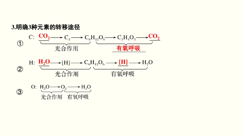 第三单元光合作用与细胞呼吸（教案）_新高考复习资料_2022年新高考复习资料_2022届一轮复习讲练结合7.13更新_系列一_第三单元光合作用与细胞呼吸