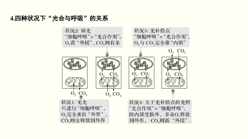 第三单元光合作用与细胞呼吸（教案）_新高考复习资料_2022年新高考复习资料_2022届一轮复习讲练结合7.13更新_系列一_第三单元光合作用与细胞呼吸
