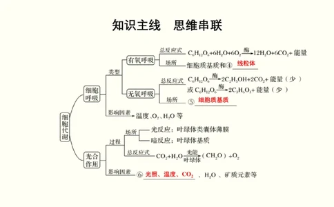 第三单元光合作用与细胞呼吸（教案）_新高考复习资料_2022年新高考复习资料_2022届一轮复习讲练结合7.13更新_系列一_第三单元光合作用与细胞呼吸