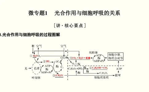 第三单元光合作用与细胞呼吸（教案）_新高考复习资料_2022年新高考复习资料_2022届一轮复习讲练结合7.13更新_系列一_第三单元光合作用与细胞呼吸