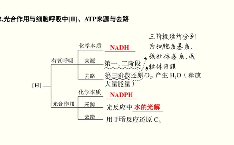 第三单元光合作用与细胞呼吸（教案）_新高考复习资料_2022年新高考复习资料_2022届一轮复习讲练结合7.13更新_系列一_第三单元光合作用与细胞呼吸