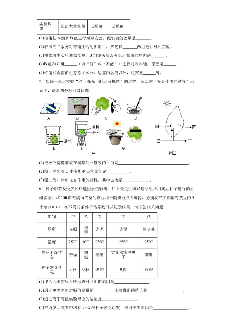 2024年中考生物专题复习：实验探究题（含答案）_6生物中考复习_2024年中考复习资料_二轮复习_备考2024中考生物二轮复习题型突破专练_251