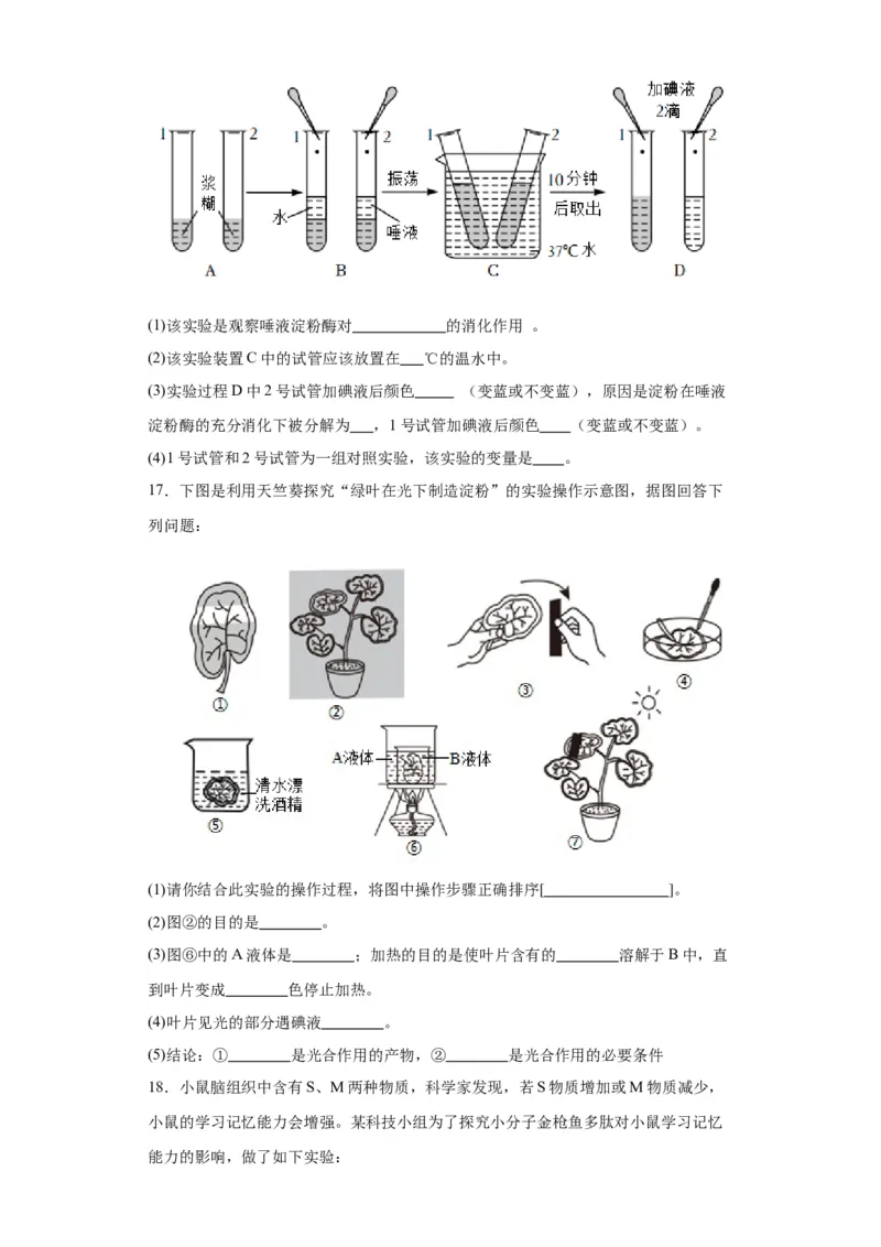 2024年中考生物专题复习：实验探究题（含答案）_6生物中考复习_2024年中考复习资料_二轮复习_备考2024中考生物二轮复习题型突破专练_251