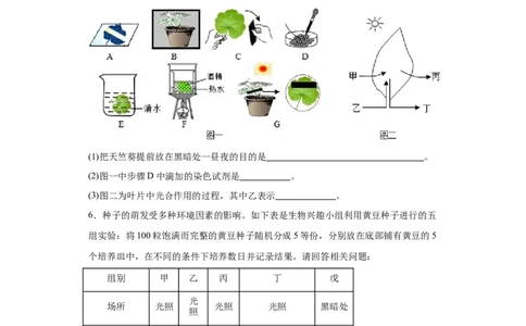 2024年中考生物专题复习：实验探究题（含答案）_6生物中考复习_2024年中考复习资料_二轮复习_备考2024中考生物二轮复习题型突破专练_251