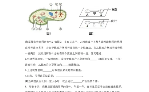 2024年中考生物专题复习：实验探究题（含答案）_6生物中考复习_2024年中考复习资料_二轮复习_备考2024中考生物二轮复习题型突破专练_251