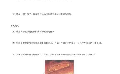 第一章走进细胞-查漏补缺2023年高考生物一轮复习教材必背细节与旁栏思考梳理汇总（新教材）（填空版）_新高考复习资料_2023年新高考复习资料_一轮复习