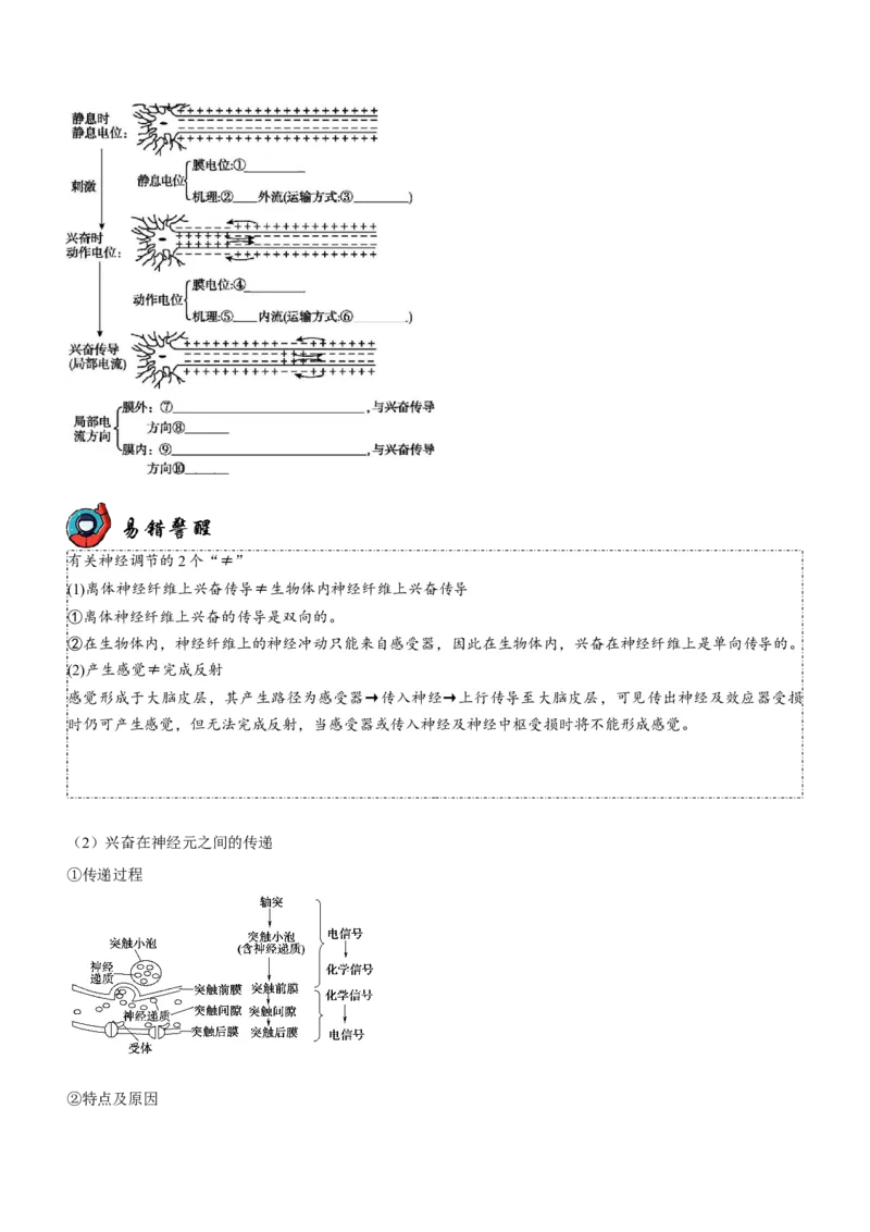 第9讲神经调节与体液调节（讲练）（原卷版）_新高考复习资料_2023年新高考复习资料_二轮复习_2023年高考生物二轮复习讲练测（新教材专用）