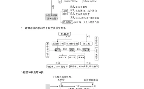 第一篇专题一考点二　细胞中的有机物_通用版（老高考）复习资料_2023年复习资料_二轮复习_2023年高考生物二轮复习讲义+课件（全国版）_2023年高考生物二轮复习讲义（全国版）_学生版