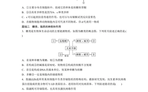 第一篇专题一考点二　细胞中的有机物_通用版（老高考）复习资料_2023年复习资料_二轮复习_2023年高考生物二轮复习讲义+课件（全国版）_2023年高考生物二轮复习讲义（全国版）_学生版