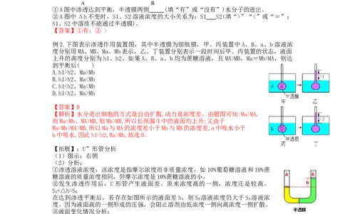 第7讲物质运输（讲义）（教师版）_新高考复习资料_2024年新高考复习资料_一轮复习资料_完2024年高考生物一轮复习讲练测(课件+讲义+练习)（新高考）_讲义+练习