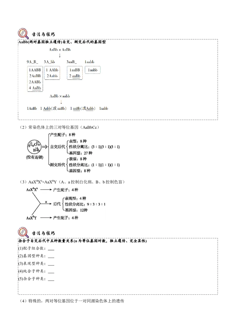 第7讲遗传的基本规律与伴性遗传（讲练）（原卷版）_新高考复习资料_2023年新高考复习资料_二轮复习_2023年高考生物二轮复习讲练测（新教材专用）
