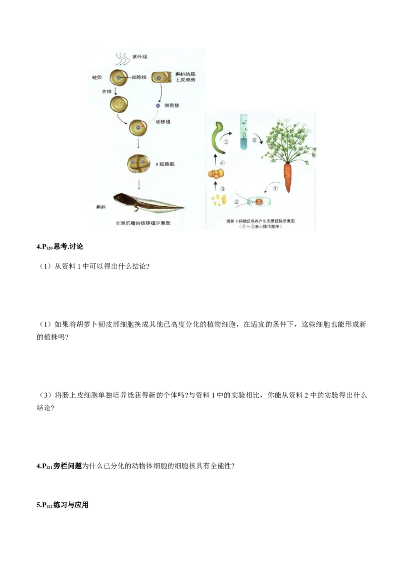 第六章细胞的生命历程-查漏补缺2023年高考生物一轮复习教材必背细节与旁栏思考梳理汇总（新教材）（填空版）_新高考复习资料_2023年新高考复习资料_一轮复习