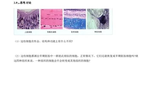 第六章细胞的生命历程-查漏补缺2023年高考生物一轮复习教材必背细节与旁栏思考梳理汇总（新教材）（填空版）_新高考复习资料_2023年新高考复习资料_一轮复习