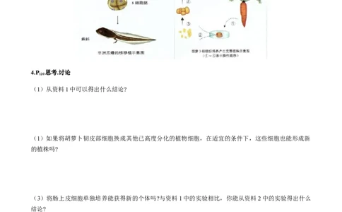 第六章细胞的生命历程-查漏补缺2023年高考生物一轮复习教材必背细节与旁栏思考梳理汇总（新教材）（填空版）_新高考复习资料_2023年新高考复习资料_一轮复习