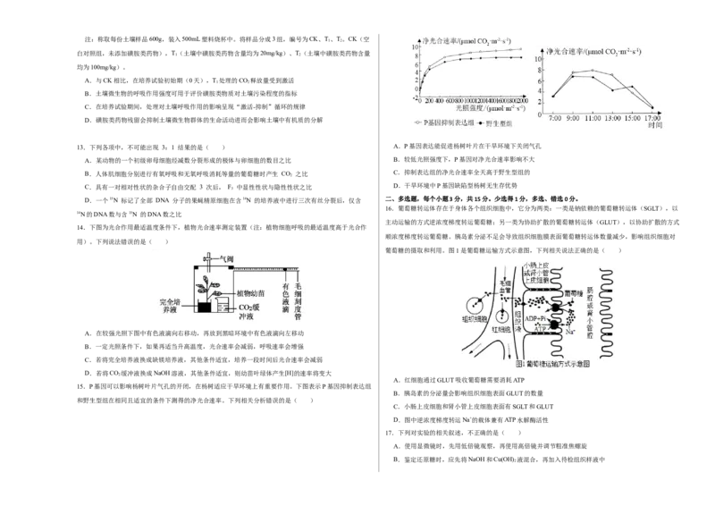 第二单元光合作用和细胞呼吸综合（B卷能力提升练）-2022年高考生物一轮复习单元滚动双测卷（考试版）_新高考复习资料_2023年新高考复习资料_一轮复习