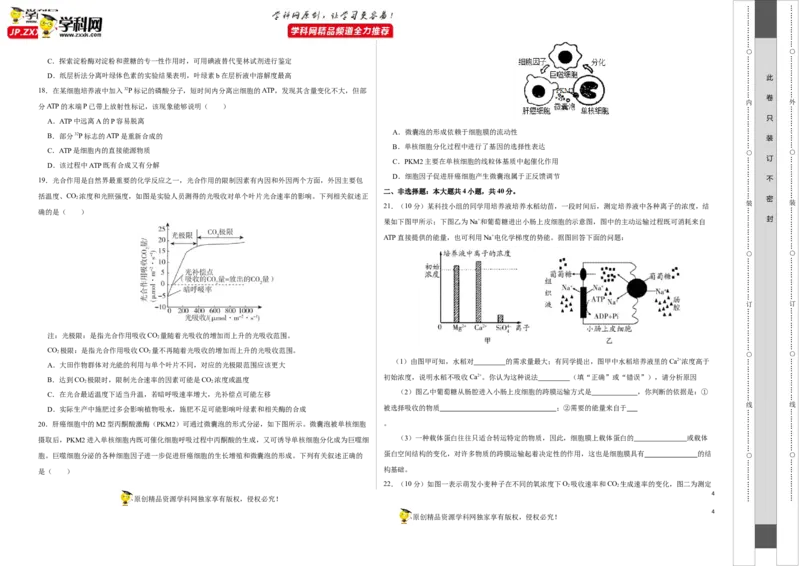 第二单元光合作用和细胞呼吸综合（B卷能力提升练）-2022年高考生物一轮复习单元滚动双测卷（考试版）_新高考复习资料_2023年新高考复习资料_一轮复习
