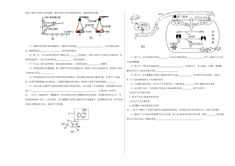 第二单元光合作用和细胞呼吸综合（B卷能力提升练）-2022年高考生物一轮复习单元滚动双测卷（考试版）_新高考复习资料_2023年新高考复习资料_一轮复习