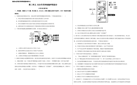 第二单元光合作用和细胞呼吸综合（B卷能力提升练）-2022年高考生物一轮复习单元滚动双测卷（考试版）_新高考复习资料_2023年新高考复习资料_一轮复习
