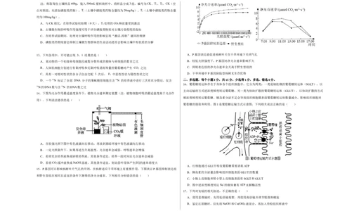 第二单元光合作用和细胞呼吸综合（B卷能力提升练）-2022年高考生物一轮复习单元滚动双测卷（考试版）_新高考复习资料_2023年新高考复习资料_一轮复习