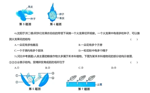 2026年中考生物复习专题练习：专题十二植物的繁殖（含答案）_6生物中考复习_2026年中考复习（更新中）_2026年中考生物一轮复习专题练习（含答案）