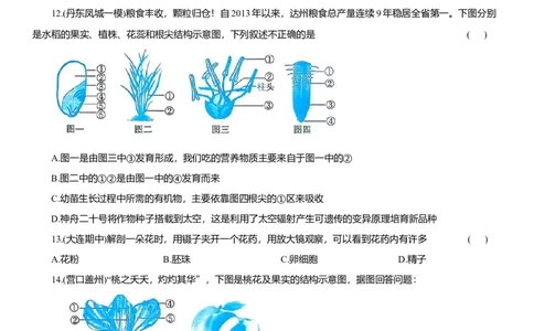 2026年中考生物复习专题练习：专题十二植物的繁殖（含答案）_6生物中考复习_2026年中考复习（更新中）_2026年中考生物一轮复习专题练习（含答案）