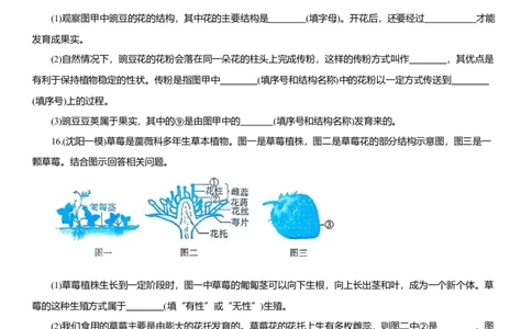 2026年中考生物复习专题练习：专题十二植物的繁殖（含答案）_6生物中考复习_2026年中考复习（更新中）_2026年中考生物一轮复习专题练习（含答案）