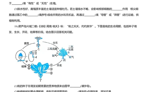 2026年中考生物复习专题练习：专题十二植物的繁殖（含答案）_6生物中考复习_2026年中考复习（更新中）_2026年中考生物一轮复习专题练习（含答案）