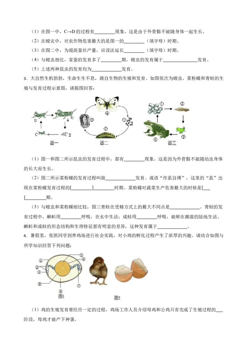 2024年中考生物读图理解专题复习：生物的生殖与发育（含答案）_6生物中考复习_2024年中考复习资料_二轮复习_备考2024中考生物二轮复习读图理解精练