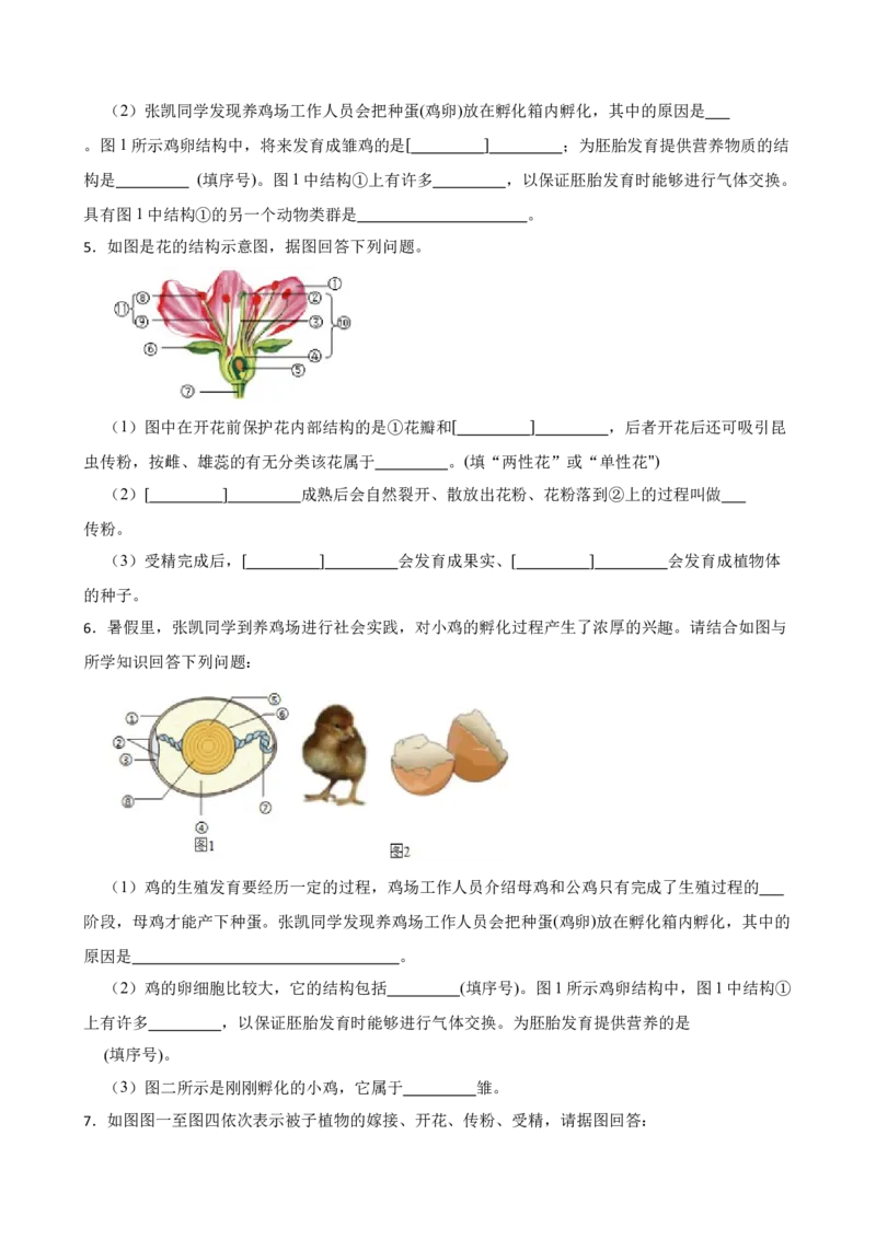 2024年中考生物读图理解专题复习：生物的生殖与发育（含答案）_6生物中考复习_2024年中考复习资料_二轮复习_备考2024中考生物二轮复习读图理解精练