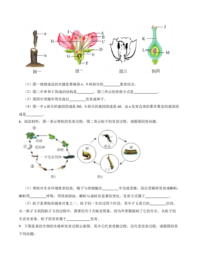 2024年中考生物读图理解专题复习：生物的生殖与发育（含答案）_6生物中考复习_2024年中考复习资料_二轮复习_备考2024中考生物二轮复习读图理解精练