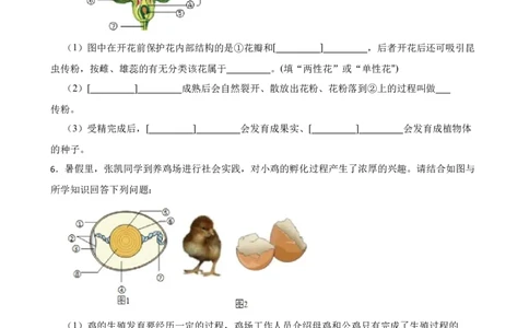 2024年中考生物读图理解专题复习：生物的生殖与发育（含答案）_6生物中考复习_2024年中考复习资料_二轮复习_备考2024中考生物二轮复习读图理解精练