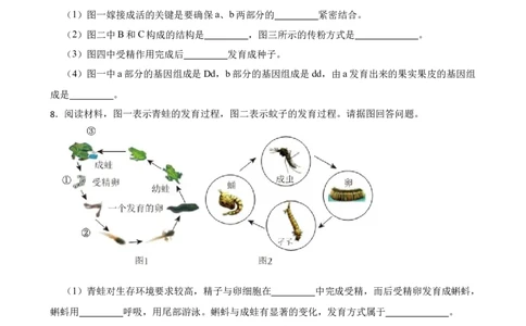 2024年中考生物读图理解专题复习：生物的生殖与发育（含答案）_6生物中考复习_2024年中考复习资料_二轮复习_备考2024中考生物二轮复习读图理解精练