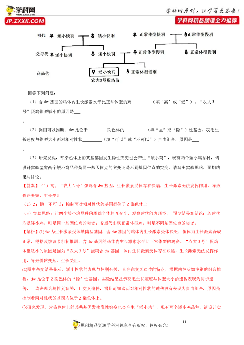 第六单元伴性遗传及其人类遗传病剖析（A卷新题基础练）-2023年高考生物一轮复习单元滚动双测卷（新高考专用）（解析版）_新高考复习资料_2023年新高考复习资料_一轮复习