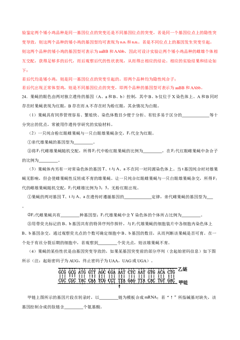第六单元伴性遗传及其人类遗传病剖析（A卷新题基础练）-2023年高考生物一轮复习单元滚动双测卷（新高考专用）（解析版）_新高考复习资料_2023年新高考复习资料_一轮复习