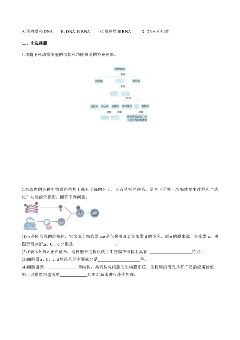 第三章细胞的基本结构-查漏补缺2023年高考生物一轮复习教材必背细节与旁栏思考梳理汇总（新教材）（填空版）_新高考复习资料_2023年新高考复习资料_一轮复习