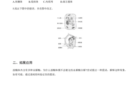 第三章细胞的基本结构-查漏补缺2023年高考生物一轮复习教材必背细节与旁栏思考梳理汇总（新教材）（填空版）_新高考复习资料_2023年新高考复习资料_一轮复习