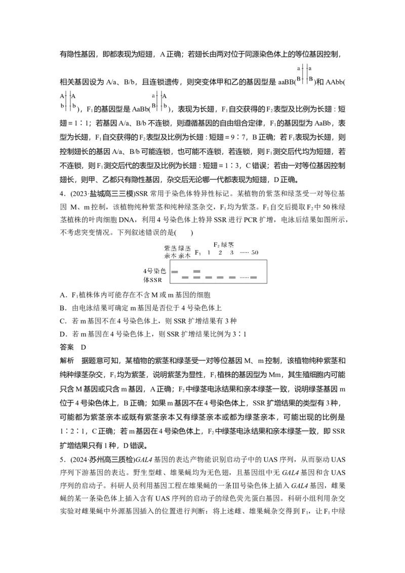 第五单元　专题突破7　探究不同对基因在常染色体上的位置_2025年新高考资料_一轮复习_2025大一轮复习讲义+课件（完结）_2025大一轮复习讲义生物教师用书Word版文档整书
