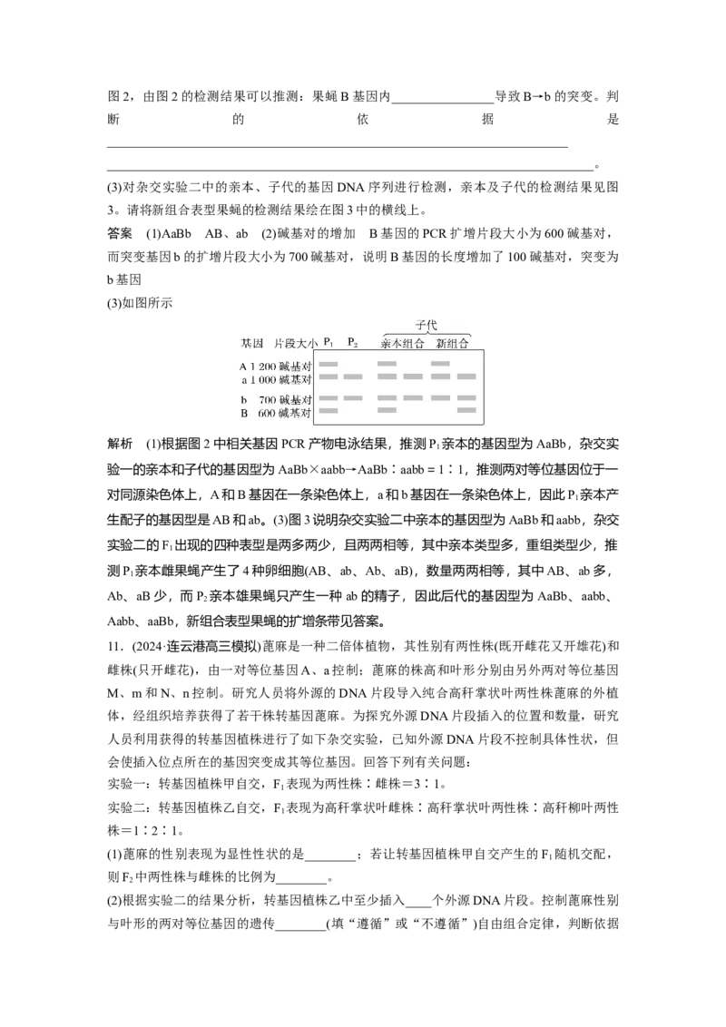 第五单元　专题突破7　探究不同对基因在常染色体上的位置_2025年新高考资料_一轮复习_2025大一轮复习讲义+课件（完结）_2025大一轮复习讲义生物教师用书Word版文档整书