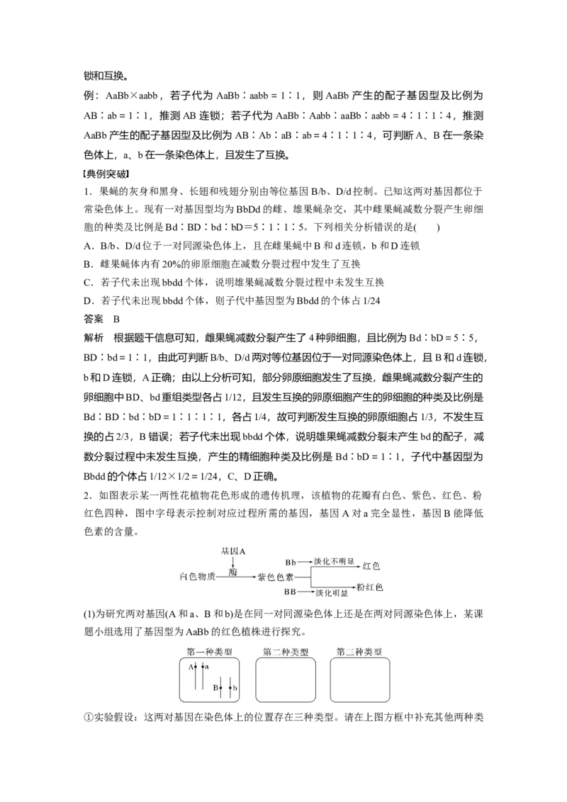 第五单元　专题突破7　探究不同对基因在常染色体上的位置_2025年新高考资料_一轮复习_2025大一轮复习讲义+课件（完结）_2025大一轮复习讲义生物教师用书Word版文档整书