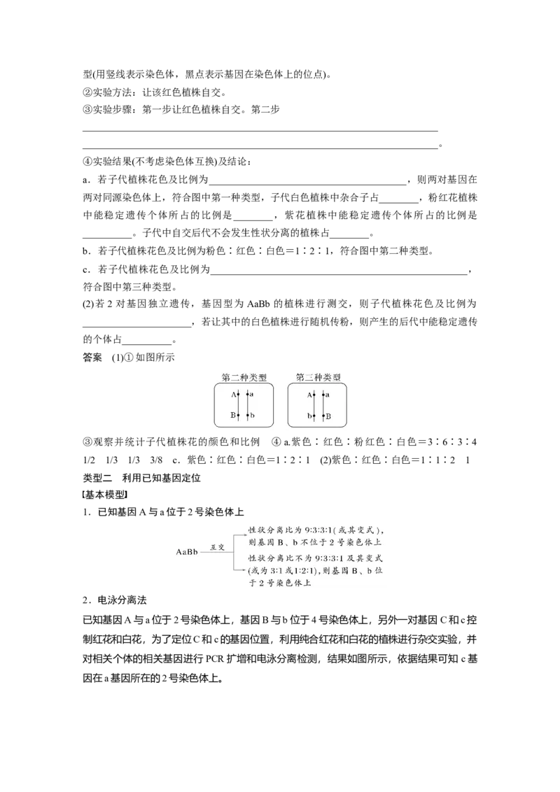 第五单元　专题突破7　探究不同对基因在常染色体上的位置_2025年新高考资料_一轮复习_2025大一轮复习讲义+课件（完结）_2025大一轮复习讲义生物教师用书Word版文档整书